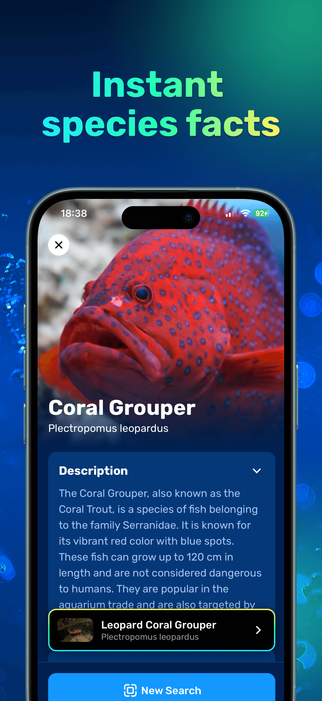 Fish identifier trait comparison results in Seabook