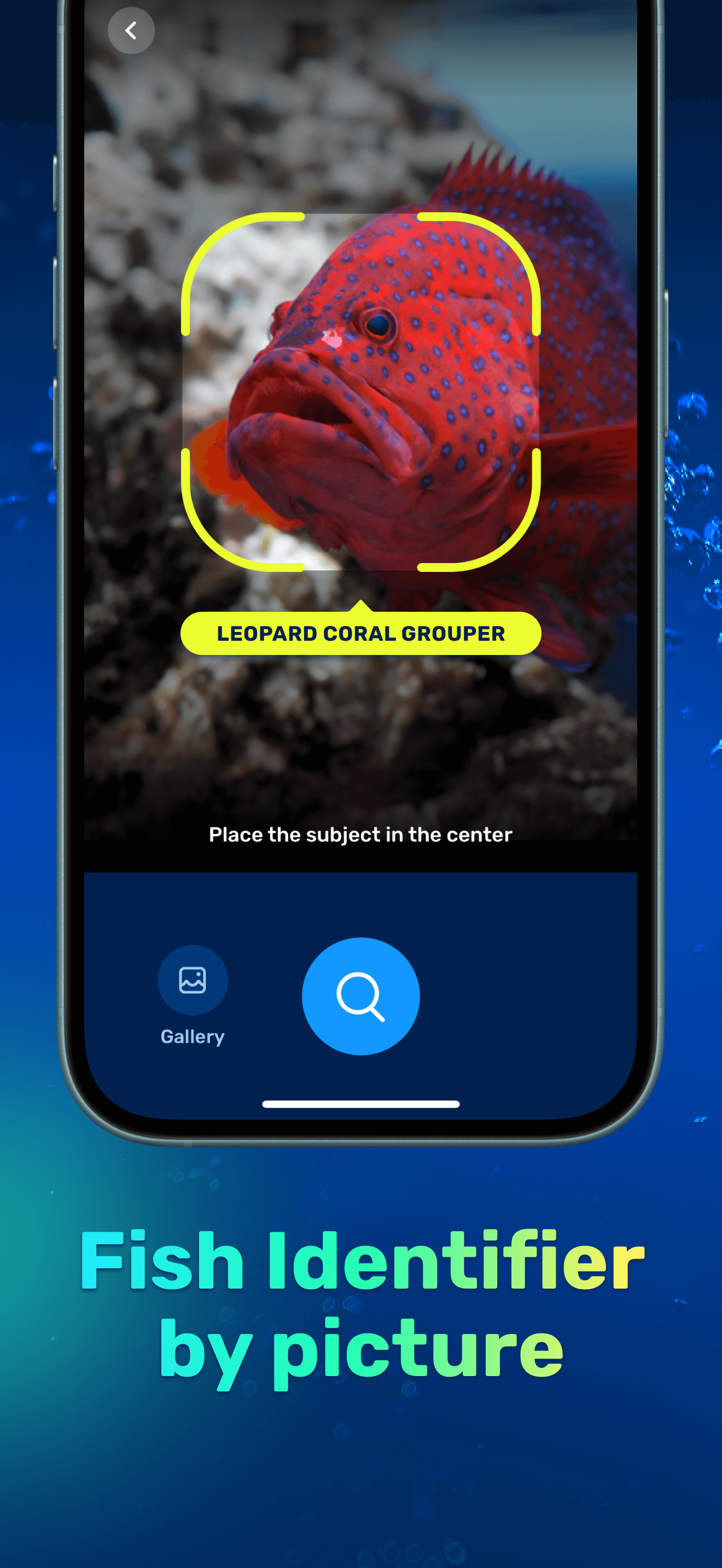 Fish identifier photo suggestions in Seabook