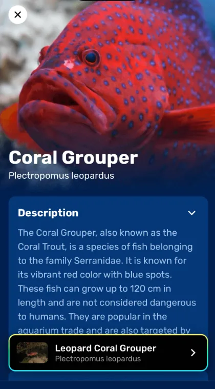 Result screen for Coral Grouper, Plectropomus leopardus